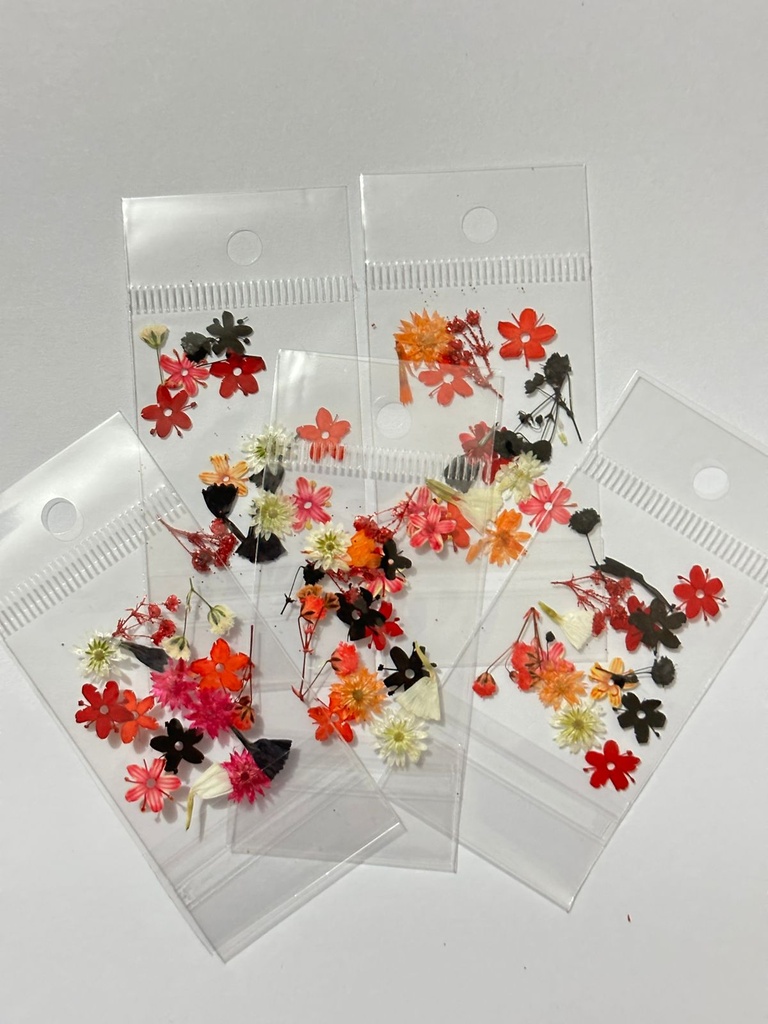 NATURALEZA MUERTA 13 VARIOS COLORES