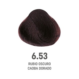 [8022297202556] TINTE COLOR AMORE #6.53 (8022297128207)