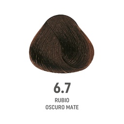 [8022297128214] TINTE COLOR AMORE ALFAPARF #6.7