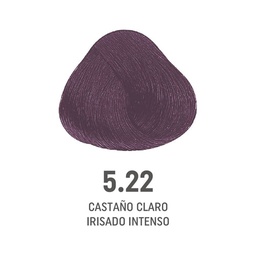 [8022297128245] TINTE COLOR AMORE ALFAPARF #5.22